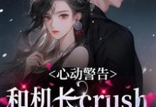 完结版《心动警告：和机长crush恋爱了》章节阅读-锤石文学