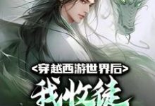 完结版《穿越西游世界后，我收徒颠覆三界》章节阅读-锤石文学