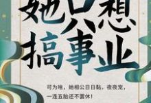 完結版《孤女拒寵：她只想搞事業》章節閱讀-錘石文學