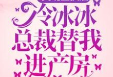 完结版《灵魂互换后，冷冰冰总裁替我进产房》免费阅读-锤石文学