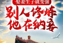 《娶妻生子就变强，别人修炼他在纳妾》全集免费在线阅读（宁越）-锤石文学