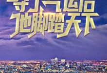 趙凡蘇柔為主角的小說好看嗎?求奪了氣運後,他腳踏天下免費試讀-錘石文學