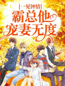 一见钟情：霸总他宠妻无度免费阅读，一见钟情：霸总他宠妻无度章节目录
