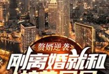 赘婿逆袭:刚离婚就和校花同居小说,赘婿逆袭:刚离婚就和校花同居免费阅读-锤石文学