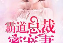 完结版《闪婚蜜爱：霸道总裁蜜宠妻》章节目录在线阅读-锤石文学