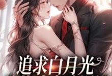追求白月光,總裁追妻路漫漫姜苒傅司寒在線章節免費閱讀-錘石文學