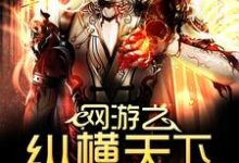 完结版《网游之纵横天下》章节目录在线阅读-锤石文学