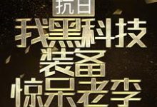 求抗日：我黑科技装备惊呆老李小说免费资源-锤石文学