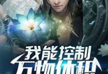 我能控制萬物體積小說的免費電子版在哪裡可以下載或閱讀?-錘石文學