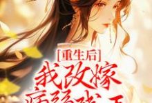 完结版《重生后，我改嫁病弱残王扶他上位》章节阅读-锤石文学