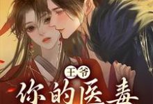 王爷,你的医毒王妃嫁到小说完结版章节免费阅读-锤石文学