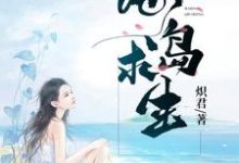 海岛求生章节免费在线阅读，王新张蕊完结版-锤石文学