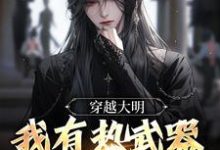 完结版《穿越大明，我有热武器正常吧？》章节阅读-锤石文学