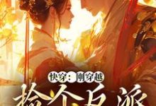 完结版《快穿：刚穿越，捡个反派当老公》章节阅读-锤石文学