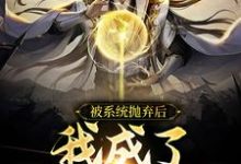 完结版《被系统抛弃后，我成了绝世高手》免费阅读-锤石文学