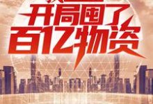 在线搜索沐辰的完整小说,免费阅读我,重生者,开局囤了百亿物资-锤石文学