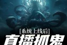 完结版《系统上线后，直播抓鬼返战斗力》在线免费阅读-锤石文学