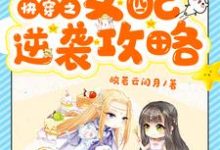 完结版《快穿之女配逆袭攻略》章节阅读-锤石文学