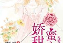 小说《先婚后爱：蜜宠娇甜妻》章节阅读-锤石文学