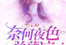 小说《奈何夜色总薄凉》章节免费阅读-锤石文学