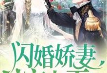 小说《闪婚娇妻宠上天》章节免费阅读-锤石文学