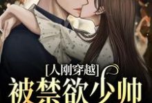 主角叫顾若楠裴元擎的小说在哪阅读-锤石文学