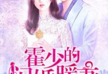 完结版《霍少的闪婚暖妻》章节目录在线阅读-锤石文学