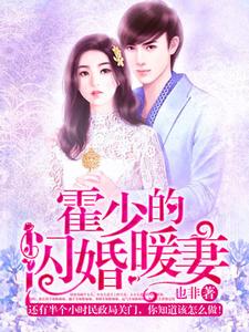 完结版《霍少的闪婚暖妻》章节目录在线阅读