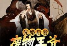 完结版《先婚后爱：废物王爷宠妻没下限》免费阅读-锤石文学