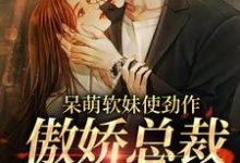 求呆萌软妹使劲作，傲娇总裁放肆宠小说免费资源-锤石文学