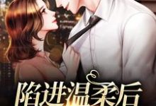 完结版《陷进温柔后，他宠上瘾了》免费阅读-锤石文学