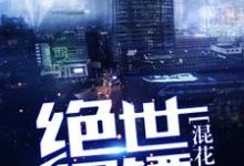 完结版《绝世保镖混花都》在线免费阅读-锤石文学