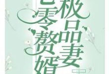 七零赘婿极品妻章节免费在线阅读，白萌萌慕正东完结版-锤石文学