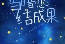 完结版《当暗恋结成果》章节目录在线阅读-锤石文学