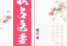 已完结小说《独占医妻》章节在线阅读-锤石文学