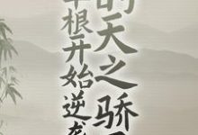 完结版《从草根开始逆袭的天之骄子》章节阅读-锤石文学