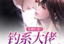 完结版《先婚后爱！钓系大佬偏执求爱》章节阅读-锤石文学