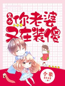 完结版《黑少，你老婆又在装傻》章节目录在线阅读