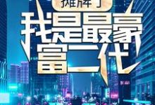 完结版《摊牌了，我是最豪富二代》在线免费阅读-锤石文学