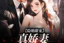 完结版《隐婚甜宠：真娇妻是个撩人精》章节阅读-锤石文学