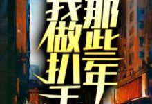 免费看我做扒手那些年小说的网站有哪些?-锤石文学