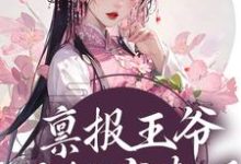 完结版《禀报王爷，王妃有喜了！》在线免费阅读-锤石文学