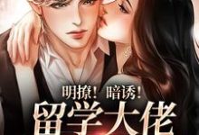 完结版《明撩！暗诱！留学大佬他不怀好意》章节目录在线阅读-锤石文学