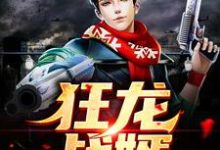 狂龙战婿叶尘陆凌霜靓坤马巧兰小说免费阅读-锤石文学