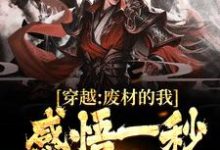 穿越:废材的我,感悟一秒后无敌了苏空在线章节免费阅读-锤石文学