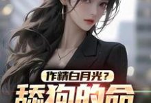 作精白月光?舔狗的命也是命!免费阅读,作精白月光?舔狗的命也是命!章节目录-锤石文学