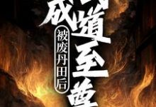 被废丹田后，我成武道至尊 陈帆陈耀光，被废丹田后，我成武道至尊最新章节-锤石文学