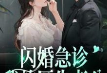 闪婚急诊，我的医生老公林娴陈一泽，闪婚急诊，我的医生老公最新章节-锤石文学