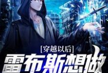 穿越以后,雷布斯想做我的小弟陈亦,穿越以后,雷布斯想做我的小弟最新章节-锤石文学