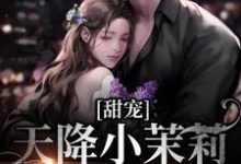 甜宠：天降小茉莉住进了我家沈津南林听，甜宠：天降小茉莉住进了我家最新章节-锤石文学